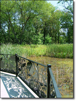 Wetlands along the trail.